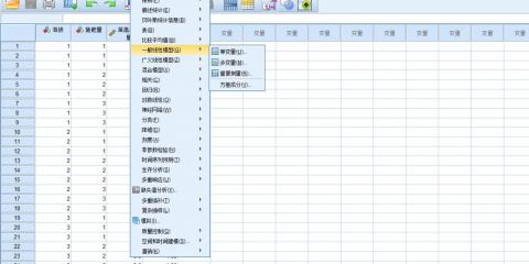 怎样用spss做因子分析