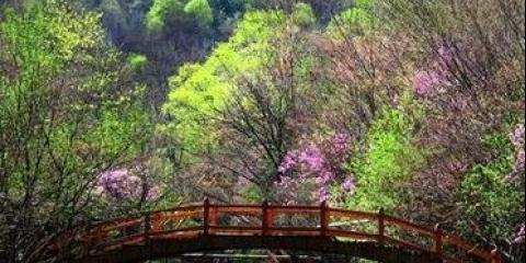 沈阳周边一日游去哪好