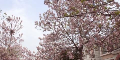 雷神2里的黑人是谁