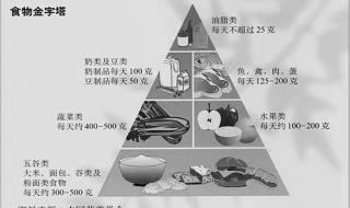 金字塔的资料简介